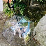 ペット用傘 透明傘 ビニール傘 | PlusNao | 詳細画像4 