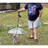 ペット用傘 透明傘 ビニール傘 | PlusNao | 詳細画像6 