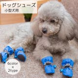 ドッグウェア ペットウェア ドッグシューズ | PlusNao | 詳細画像1