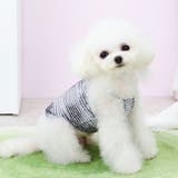 ペットウェア キャミソール 犬服 | PlusNao | 詳細画像3