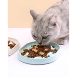 ペット用食器 フードボウル 早食い防止 | PlusNao | 詳細画像4