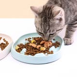 ペット用食器 フードボウル 早食い防止 | PlusNao | 詳細画像5