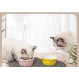 ペット用食器 単品 フードボウル | PlusNao | 詳細画像2