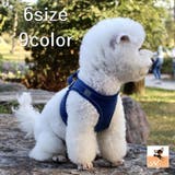 ペット用ハーネス リード 2点セット | PlusNao | 詳細画像1 