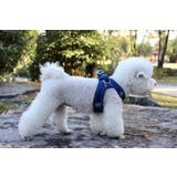 ペット用ハーネス リード 2点セット | PlusNao | 詳細画像2 