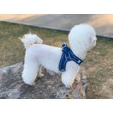 ペット用ハーネス リード 2点セット | PlusNao | 詳細画像3 