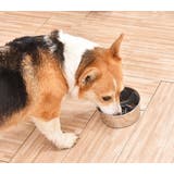 ペット用早食い防止プレート ペット食器用 吸盤式 | PlusNao | 詳細画像2 