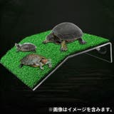 爬虫類用 両生類用 浮島 | PlusNao | 詳細画像5 