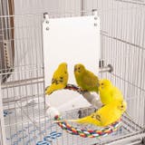 ミラー付 止まり木 パーチ | PlusNao | 詳細画像2