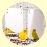 ミラー付 止まり木 パーチ | PlusNao | 詳細画像5