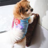 ペット用 犬用 洋服 | PlusNao | 詳細画像6