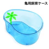 亀用飼育ケース 水槽 カメ | PlusNao | 詳細画像1 