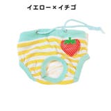 犬用 サニタリーパンツ サニタリーショーツ | PlusNao | 詳細画像10 