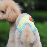 犬用 サニタリーパンツ サニタリーショーツ | PlusNao | 詳細画像2 