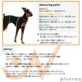犬用 サニタリーパンツ サニタリーショーツ | PlusNao | 詳細画像20 