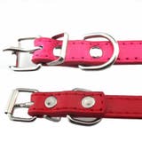 首輪 カラー 小型犬 | PlusNao | 詳細画像14 