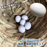 偽卵 擬卵 4個セット | PlusNao | 詳細画像1