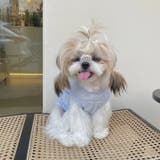 ペットウェア ドッグウェア キャットウェア | PlusNao | 詳細画像2