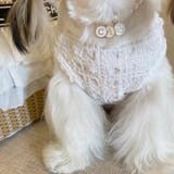 ペットウェア ドッグウェア キャットウェア | PlusNao | 詳細画像4