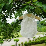 ペットウェア ドッグウェア キャットウェア | PlusNao | 詳細画像6