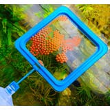 フィーダーカップ 餌入れ枠 フィッシュフィーダー | PlusNao | 詳細画像4