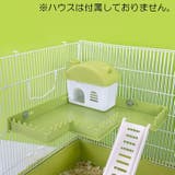 ハムスター 遊び台 遊び場 | PlusNao | 詳細画像2