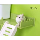ハムスター 遊び台 遊び場 | PlusNao | 詳細画像7