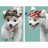 犬用帽子 キャップ サンバイザー | PlusNao | 詳細画像3 