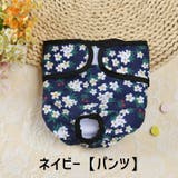 犬用サニタリーパンツ マナーベルト ペット用 | PlusNao | 詳細画像13