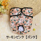 犬用サニタリーパンツ マナーベルト ペット用 | PlusNao | 詳細画像15