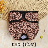 犬用サニタリーパンツ マナーベルト ペット用 | PlusNao | 詳細画像16