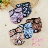 犬用サニタリーパンツ マナーベルト ペット用 | PlusNao | 詳細画像3