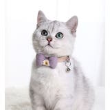 首輪 カラー 猫 | PlusNao | 詳細画像2 