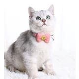 首輪 カラー 猫 | PlusNao | 詳細画像3 