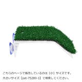 浮島 亀 カメ | PlusNao | 詳細画像4