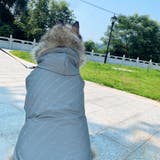 ジャンパー ブルゾン ウィンドブレーカー | PlusNao | 詳細画像5