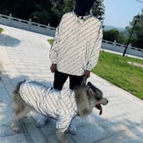 ジャンパー ブルゾン ウィンドブレーカー | PlusNao | 詳細画像7