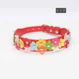 首輪 犬用 ペット用 | PlusNao | 詳細画像6