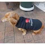 ペット用 犬用 洋服 | PlusNao | 詳細画像2 