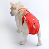 犬用サニタリーパンツ サスペンダー付き サニタリーショーツ | PlusNao | 詳細画像2 