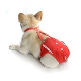 犬用サニタリーパンツ サスペンダー付き サニタリーショーツ | PlusNao | 詳細画像5 