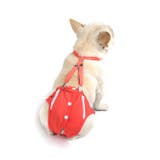 犬用サニタリーパンツ サスペンダー付き サニタリーショーツ | PlusNao | 詳細画像6 
