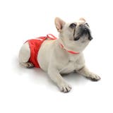 犬用サニタリーパンツ サスペンダー付き サニタリーショーツ | PlusNao | 詳細画像7 