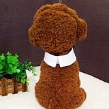 ペット用ネクタイ ペット用付け襟 ペット用アクセサリー | PlusNao | 詳細画像3