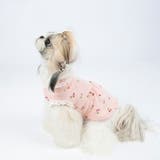 ペットウェア ドッグウェア 犬服 | PlusNao | 詳細画像2 