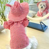 ペット用帽子 クルーハット 単品 | PlusNao | 詳細画像4