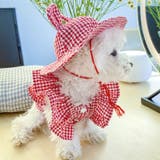 ペット用帽子 クルーハット 単品 | PlusNao | 詳細画像9
