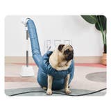 ペット用ドライスーツ 乾燥ケース 乾燥袋 | PlusNao | 詳細画像6