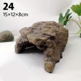 水槽用オーナメント オブジェ アクアリウム | PlusNao | 詳細画像17