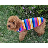 ペット用タンクトップ ペットウェア 犬服 | PlusNao | 詳細画像4
